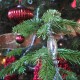 branche-sapin-fdeco branche-sapin-fdeco